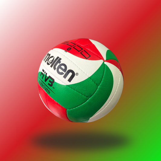 Volleyball Molten 5000