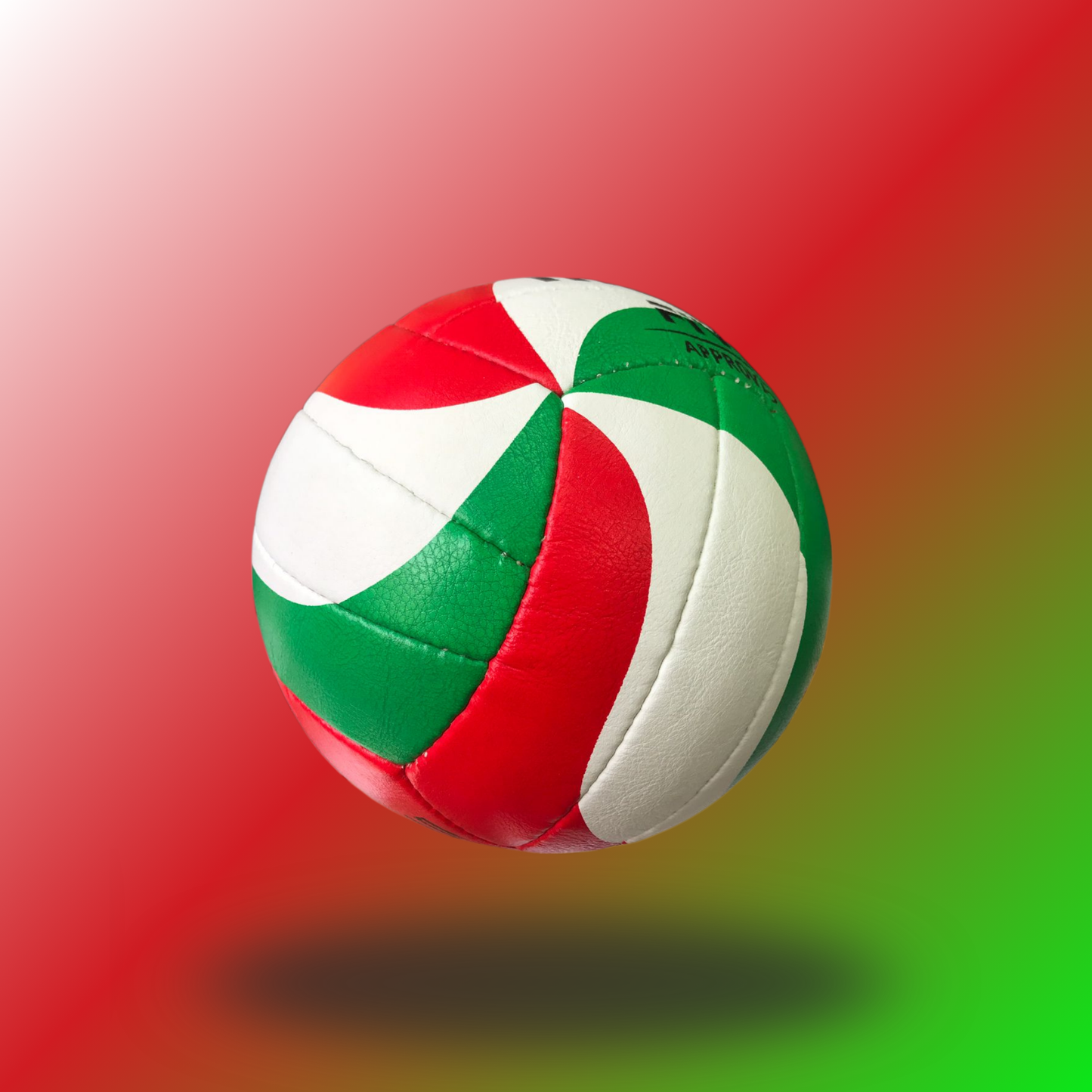 Volleyball Molten 5000