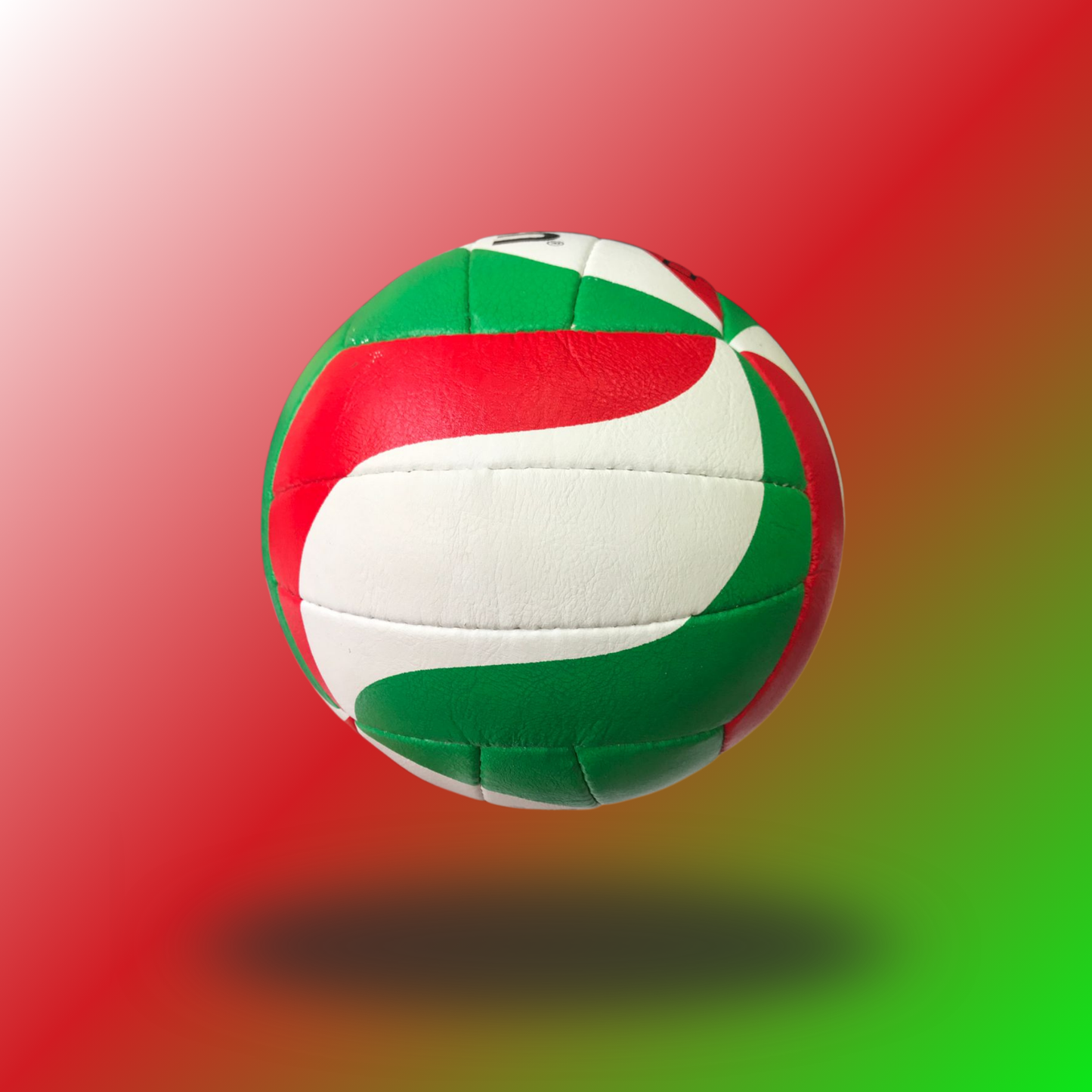Volleyball Molten 5000