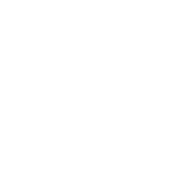 Fast Delivery icon