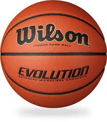 Wilson Evolution Basketball